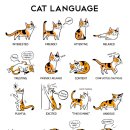 고래힐 동물병원 이미지