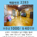 삼보이용소 네이버블로그
