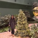 블랙야크 여성 히마 WSP 다운자켓 내 돈 내산 후기