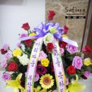 한승희산부인과의원 이미지