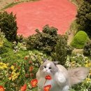 압구정하우스 이미지