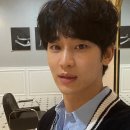 멍뭉컷 이미지