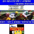 (주) 캣뷰티