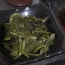산오징어회 맛집 찾는다면? 대구 산오징어 맛집 앞산 산오징어 진천동 횟집 강력추천!