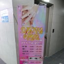 네일플럼 이미지