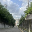 6월 넷째주 일상