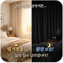 누리아르 | 새벽 빛 때문에 자꾸 깬다면? 삶의 질이 달라지는 완벽한 어둠, 암막커튼 추천 (feat. 아르일랑)