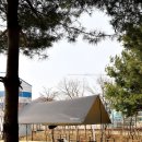 원포공원 | 쿠팡 로켓직구 원포레스트 캠핑 타프 의자 테이블 세트 후기