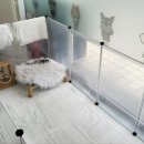 펫 가디언 이미지