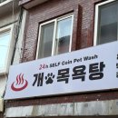 셀프 강아지 목욕탕 | 강아지 셀프 목욕탕 ‘개목욕탕’ (주차/요금/이용후기)