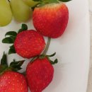 재영정비 | [12월시청기록] 드라마/뮤지컬 후기모음/노래추천