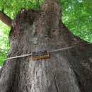 여기,초록 이미지