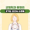 늘솜치과의원 | 경기도 오산시 수청동 교정치과 총정리