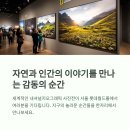 꽃 대신 전시 어때요? 내셔널지오그래픽 사진전 요즘 반응 뜨거워요