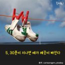 하얀세탁 이미지