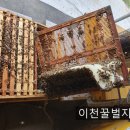 밤꽃향기 그윽한 6월 꿀벌관리 이미지