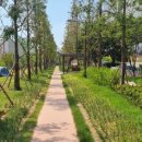 수인선 바람길 숲 이미지