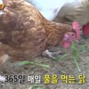 유나네 자연숲농장