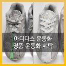 영원 세탁 이미지