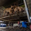 다니엘농장 이미지