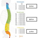 에이블방역