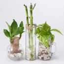 리빙마트 이미지