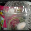 열린창의어린이집 이미지