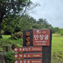 비개인후 | [만장굴/제주] 만장굴 재개장 후 비오는날 다녀온 후기