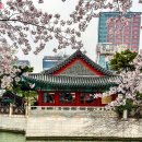 지도로 떠나는 세계 문화B 이미지