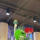 대보매점 | New York 🇺🇸, Day 1-2