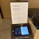 오나먼트플러스 | 12월 신라스테이 플러스 이호테우 후기ㅣ스탠다드 벙커 가든뷰, 조식, 수영장