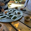 울릉산채 - 8743 | 울릉산채
