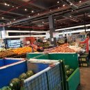 대가야슈퍼 이미지