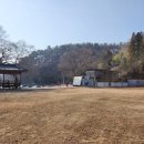 느티나무요정들 펜션 네이버블로그