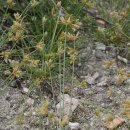 제주하늘지기 이미지