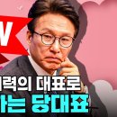 뉴세력의 대표로 전락하는 당대표 이미지