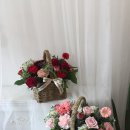 파인트리플라워 - 정읍시 상사1길 28-32 | 파인트리플라워