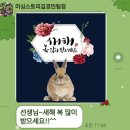 프린스퀼트 - 중구 큰장로26길 25 | 프린스퀼트
