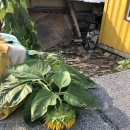 채석강민박 이미지