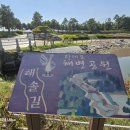 해운대전통시장 이미지