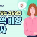 배양 이미지