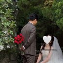 조화 | 바닐라플레르 푸에고로즈 조화부케 웨딩촬영 후기🌹❤️