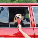 아름다운 여행 이미지