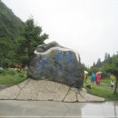 신 황룡 이미지