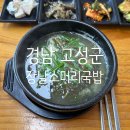 경남돈가스 | 경남 고성 장날 소머리국밥 돈까스, 국밥, 육회비빔밥 내돈내산 후기
