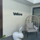 볼리에르스테이 이미지