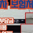 쏭덴트 이미지