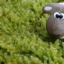 낙동강체육공원 어린이놀이터 이미지