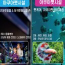 아쿠아펫랜드 이미지