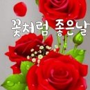 송탄농업협동조합고덕지점 이미지